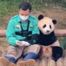 육신사(신) | 추석특집블로그