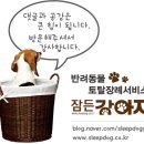 함께오래동물병원 이미지