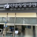 진솔동물병원 이미지