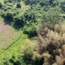 할머니 민박 이미지