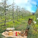 가자농장 이미지