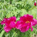 하사관길 이미지