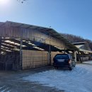 한우축사 이미지