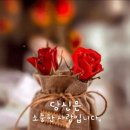 선물같은 하루 Daum카페