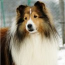 아이즈 오브 엔젤 이미지