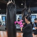 남양복싱클럽 이미지