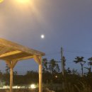 제주협재클레르드륀 이미지