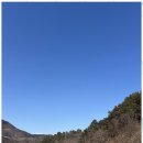 라파엘메디케어 이미지