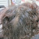 동성교회 | 울산새치염색 컬러앤하우스울산점 태화동 우정동 미용실 후기