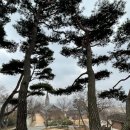 마리아 농장 | [전북 익산 1박2일] 근대여행2 - 나바위 성당