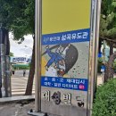 용인대 성곡유도관 이미지