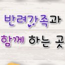 허그도그 이미지