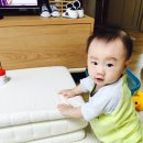 다뽑자 이미지