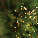 스테이두모 이미지