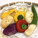 신세계의정부씨 | 천하제빵 “구황작물 빵” 정남미 명과 의정부 신세계 백화점 팝업 정보 & 오픈런 해서 먹어본 솔직후기