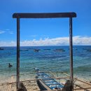 고래세상 | 오슬롭 고래상어 투어 투어 시간 비용 캐녀닝 모알보알 후기