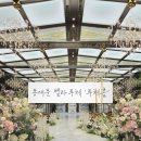 성우축사 | [동대문 벨라루체 '루체홀' 후기] 아기자기 따뜻한 밝은 홀_주차｜홀특징｜장단점 분석_(ft. 여자사회자)