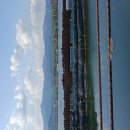 자주국방 이었다면 이제는 RE100.. 이미지