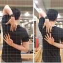 르메드