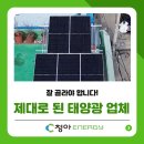 다보네 태양광발전소 | 좋은 태양광업체는 따로 있습니다! 전문가가 알려주는 선택 기준