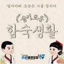 호원 태권도장 이미지