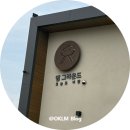 댕그라운드 | 청주애견카페 댕그라운드ㅣ마당넓고 김치볶음밥 짜계치 맛있음