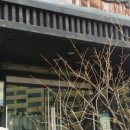 아이리스중화요리 이미지