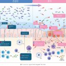 001-2 | 암환자 가족의 면역력을 위한 선택 : GEN-001 유산균 2 차 체험 후기