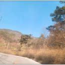 이평오토바이 | 수십 회 방문한 속리산 전망대 가는 길, 신비의 말티재 속으로 [말티재 전망대]