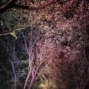 낙원역사공원2 | 2026년 오륙도투나잇 걷기대회 참가 후기