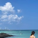 20 제주여행 기록 1(영희네우럭명가, 제주맛집, 코난해변, 제주도소품샵 큰손상회, 함덕해수욕장...