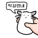 최임선맘스테라피