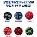 6000 | 엘아르기닌 6200 시트룰린 아르기닌 효능 시트롤린 오르니틴 아르기닌 6000 액상 후기
