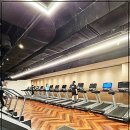 스크린가양 | 가양역 헬스장 맞춤 피티 확실히 받아본 후기!