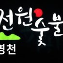 금호읍사무소 티스토리
