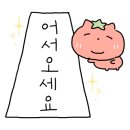 카페인중독잠실