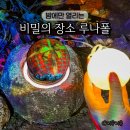 헬로우아트월드 | 1월 제주도 가볼만한곳 서귀포 야경 명소 제주 여행 루나폴 추천