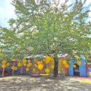 디자인씽킹뮤지엄 | 강릉 실내데이트 왕 강추!! &#34;디자인씽킹뮤지엄&#34; 후기