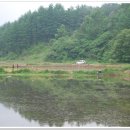 한평소류지 이미지