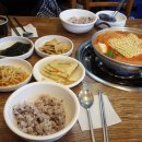 고기 동생 찌개 이미지