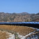 용늪마을 이미지