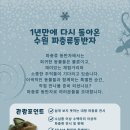 티그리스게코 - 강동구 상암로 8-1 | 티그리스게코