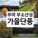 부소산성 삼충사 입구 | 부여 갈만한곳 부소산성 가을 단풍구경 / 삼충사, 백제역사유적지구