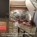물폭탄의 8월 둘째주 일기