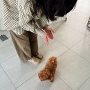골든파티