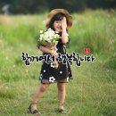 실내 독소 제거에 탁월한 화초들 이미지