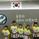 용인대 온누리 태권도장 이미지
