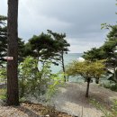 바다야또놀자 이미지