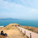 바람의 언덕 이미지