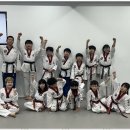 박사 경희대 태권도 이미지